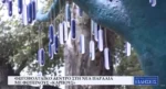 Φωτοβολταϊκό δέντρο στη Νέα Παραλία με φωτεινούς «καρπούς» (Video)