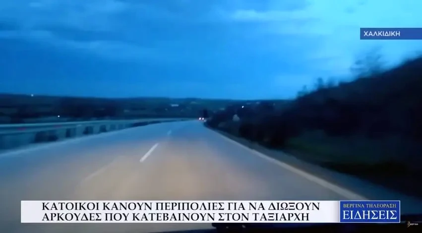 Κάτοικοι κάνουν… περιπολίες για να διώξουν αρκούδες που κατεβαίνουν στον Ταξιάρχη (Video)