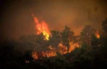 Ολονύχτια μάχη με τις φλόγες στη Ρόδο – Οκτώ εναέρια μέσα ξεκίνησαν τις ρίψεις νερού