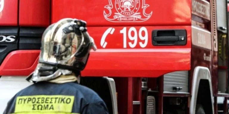 Χωρίς ενεργό μέτωπο η φωτιά στην Οινόη -Επιχειρούν ισχυρές πυροσβεστικές δυνάμεις