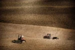 Agrotes 1 Enhanced 1767697321