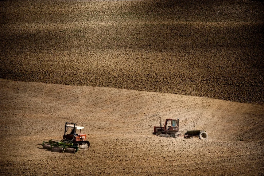 Agrotes 1 Enhanced 1767697321