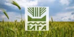 ΕΛΓΑ: 35,1 εκατ. ευρώ προκαταβολή ενισχύσεων για ζημιές φυτικού κεφαλαίου