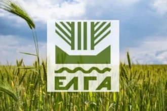 ΕΛΓΑ: 35,1 εκατ. ευρώ προκαταβολή ενισχύσεων για ζημιές φυτικού κεφαλαίου