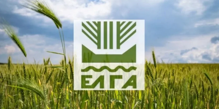 ΕΛΓΑ: 35,1 εκατ. ευρώ προκαταβολή ενισχύσεων για ζημιές φυτικού κεφαλαίου