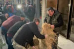 Λάρισα: Διαμαρτυρία αγροτών έξω από τα γραφεία βουλευτών – Έριξαν σανό