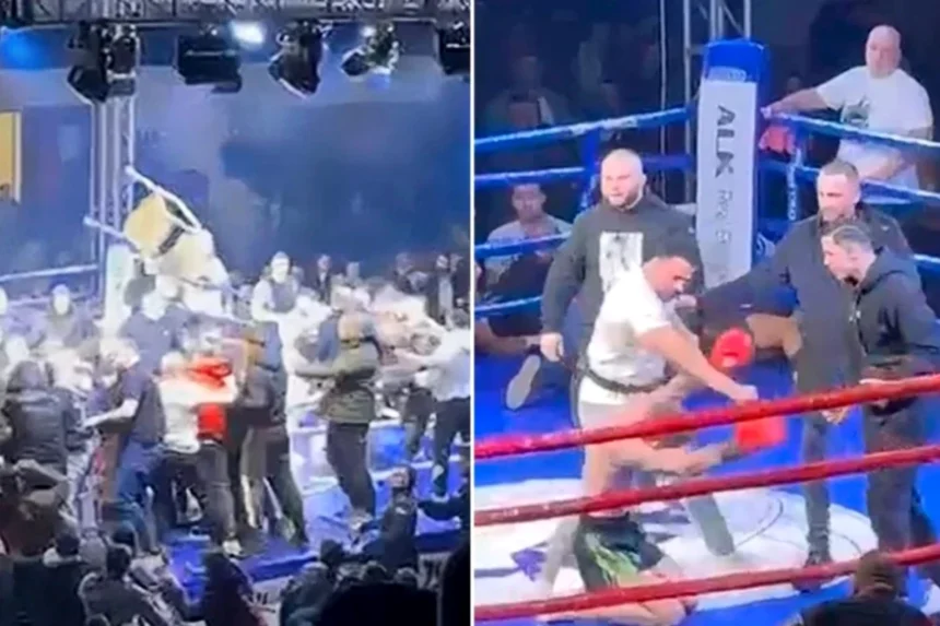 Serbia Kick Box Enhanced 1767697326