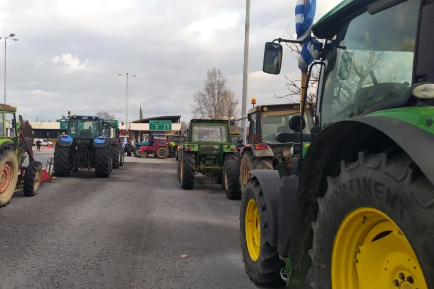 Agrotes Vergina 1767534566 1767697203