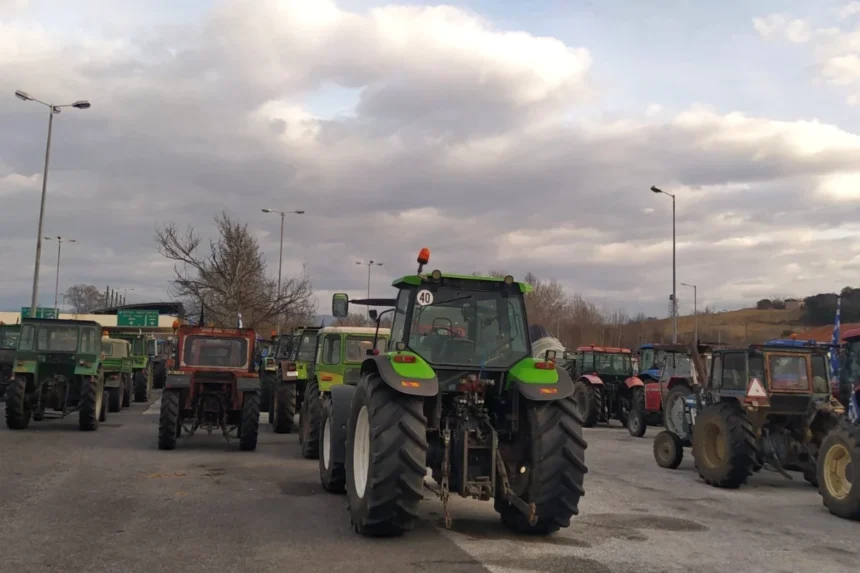 Agrotes Vergina1 1767597708 1767697194
