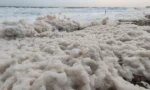 Χανιά-Kακοκαιρία: Άφρισε η θάλασσα(video)