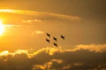 Έκτακτες κρίσεις Ταξίαρχων στην Πολεμική Αεροπορία