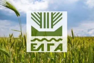ΕΛΓΑ: Πληρωμή 6,4 εκατ. ευρώ για ζημιές από τον παγετό την Άνοιξη 2025