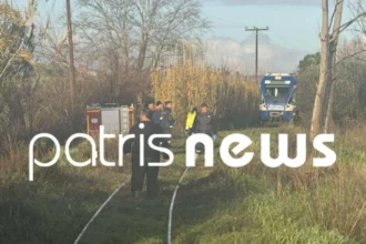 Πεύκο έπεσε πάνω σε εν κινήσει τρένο που εκτελούσε το Πύργος-Κατάκολο – Τραυματίστηκε ο μηχανοδηγός