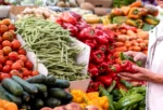 Senior Woman S Hand Holding Red And Green Peppers 2026 01 05 00 19 11 Utc 1 1767648014 1767697180