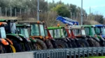 W03 193353w03101610agrotestembi1 1767468566 1767697229