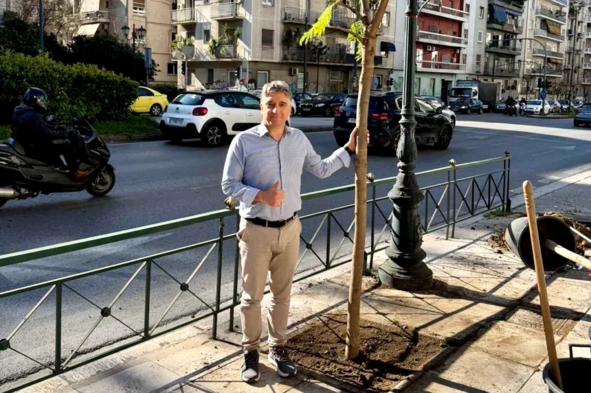 Δήμος Αθηναίων: Φυτεύονται 90 γιακαράντες στη λεωφόρο Βασιλέως Κωνσταντίνου