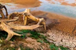 Η λίμνη του Μόρνου ξεδίψασε, αλλά ο κίνδυνος λειψυδρίας παραμένει