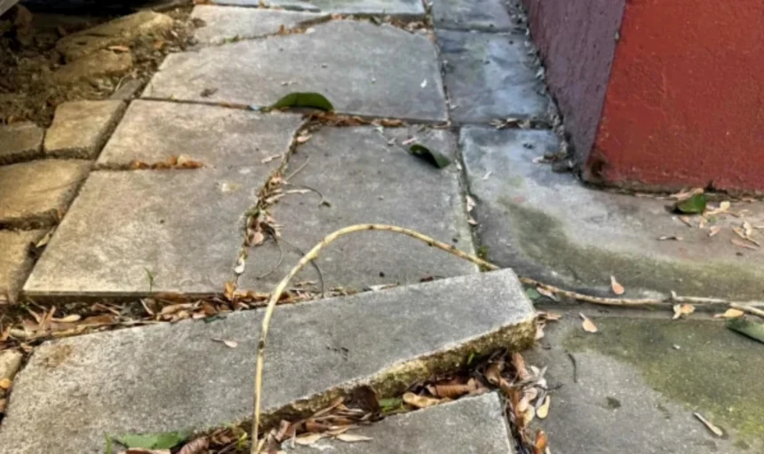 «Λίφτινγκ» στα πεζοδρόμια της Θεσσαλονίκης