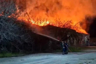 Θεσσαλονίκη: Ολονύκτια μάχη με τις φλόγες στο στρατόπεδο Κόδρα (βίντεο)