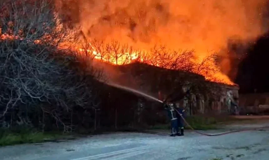 Θεσσαλονίκη: Ολονύκτια μάχη με τις φλόγες στο στρατόπεδο Κόδρα (βίντεο)