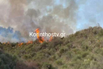 Φωτιά σε δασική έκταση στα Σοφιανά Κορινθίας