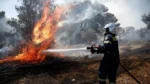 Πύργος: Φωτιά σε δασική έκταση στην περιοχή Βυτιναίικα