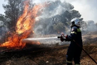 Πύργος: Φωτιά σε δασική έκταση στην περιοχή Βυτιναίικα