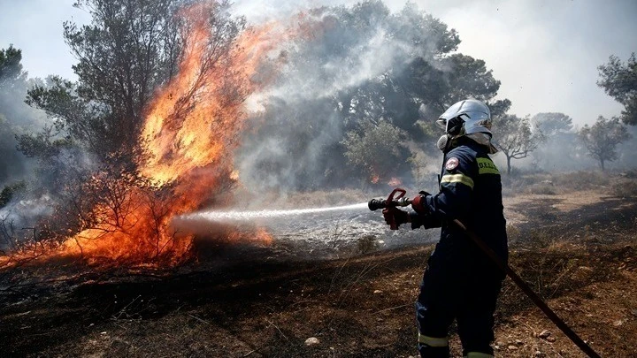 Πύργος: Φωτιά σε δασική έκταση στην περιοχή Βυτιναίικα