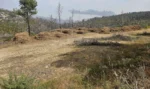 Ακαθάριστα οικόπεδα: Νέοι κανόνες, διευρυμένες ευθύνες και πρόστιμα