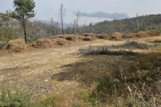 Ακαθάριστα οικόπεδα: Νέοι κανόνες, διευρυμένες ευθύνες και πρόστιμα