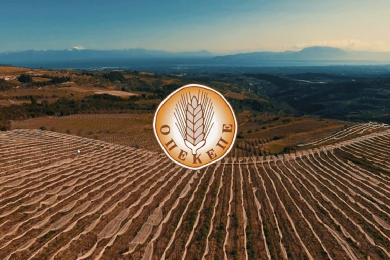 Ηλικιωμένος είχε στήσει εταιρείες φαντάσματα εκδίδοντας εικονικά τιμολόγια για να παίρνουν επιδοτήσεις από τον ΟΠΕΚΕΠΕ