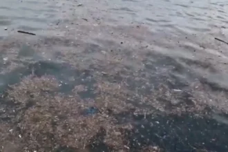 Θεσσαλονίκη: Απογοητευτική η εικόνα του Θερμαϊκού