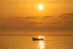Υπουργείο Μετανάστευσης και Ασύλου: 1.203 οι ανακλήσεις προσφυγικού καθεστώτος Σύρων από 1η Μαρτίου έως 9 Απριλίου