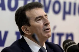 Χρυσοχοΐδης: Παρακολουθούσαμε καιρό τους ληστές στην Κάτω Τιθορέα
