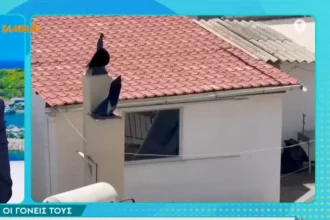 Δεν πήγαιναν ούτε σχολείο τα παιδιά που ζούσαν μέσα σε ακαθαρσίες σε σπίτι στο Περιστέρι, τι λέει η γιαγιά τους