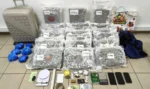 Μεγάλο χτύπημα του ελληνικού FBI στη διακίνηση skunk στη Θεσσαλονίκη, κατασχέθηκαν 27 κιλά