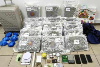 Μεγάλο χτύπημα του ελληνικού FBI στη διακίνηση skunk στη Θεσσαλονίκη, κατασχέθηκαν 27 κιλά