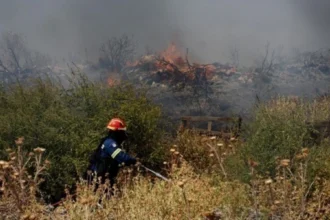 Αυτοψία Τουρνά στη Δυτική Αττική για τα αντιπυρικά έργα: Οι προληπτικές εργασίες συνεχίζονται