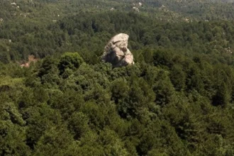 Απαγόρευση κυκλοφορίας σε δασικές περιοχές στη Χαλκιδική, λόγω υψηλού κινδύνου πυρκαγιάς