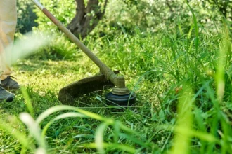 Έως τις 15 Ιουνίου ο καθαρισμός οικοπέδων – «Τα πρόστιμα βεβαιώνονται από τους δήμους και καταλήγουν στην ΑΑΔΕ»