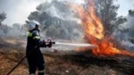 Φωτιά στη Νέα Βύσσα Έβρου: Επιχειρούν ισχυρές επίγειες και εναέριες δυνάμεις