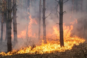 Φωτιά στην Περαχώρα Κορινθίας – Μήνυμα του 112 για ετοιμότητα, ισχυρές δυνάμεις στη μάχη με τις φλόγες