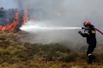 Φωτιές: Δευτέρα με «κιτρινισμένο» χάρτη -Σε ποιες περιοχές είναι υψηλός ο κίνδυνος