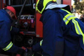 Καβάλα: Πυροσβέστης έσωσε σκύλο που πάλευε εξαντλημένος στη θάλασσα