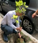 Ο ΔΡΟΜΟΣ ΤΟΥ ΠΕΡΓΑΜΟΝΤΟΥ ΣΤΗΝ ΑΘΗΝΑ