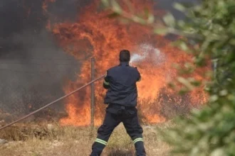 Οριοθετήθηκε η πυρκαγιά στην Παλαιά Κρωβύλη Ροδόπης – Υπό έλεγχο πυρκαγιά στην Κουμαριά Ημαθίας