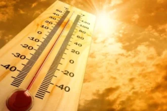 Παγκόσμιος Οργανισμός Υγείας: Περισσότεροι από 1.300 θάνατοι από τον καύσωνα στην Ευρώπη