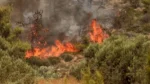 Πυρκαγιά στην Καλλιθέα Φαρσάλων