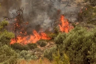 Πυρκαγιά στην Καλλιθέα Φαρσάλων