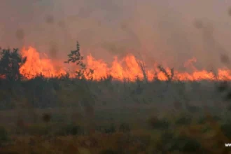 Ροδόπη: Φωτιά σε αγροτοδασική έκταση – Επιχειρούν 5 αεροπλάνα